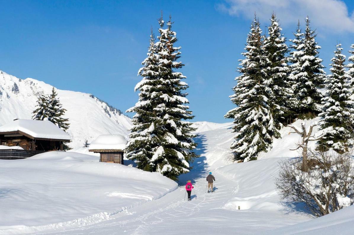 Village Club De Bois D'Amont Екстериор снимка