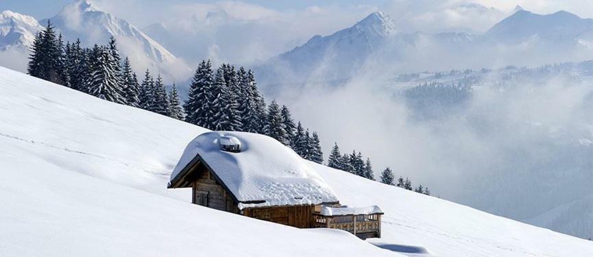 Village Club De Bois D'Amont Екстериор снимка